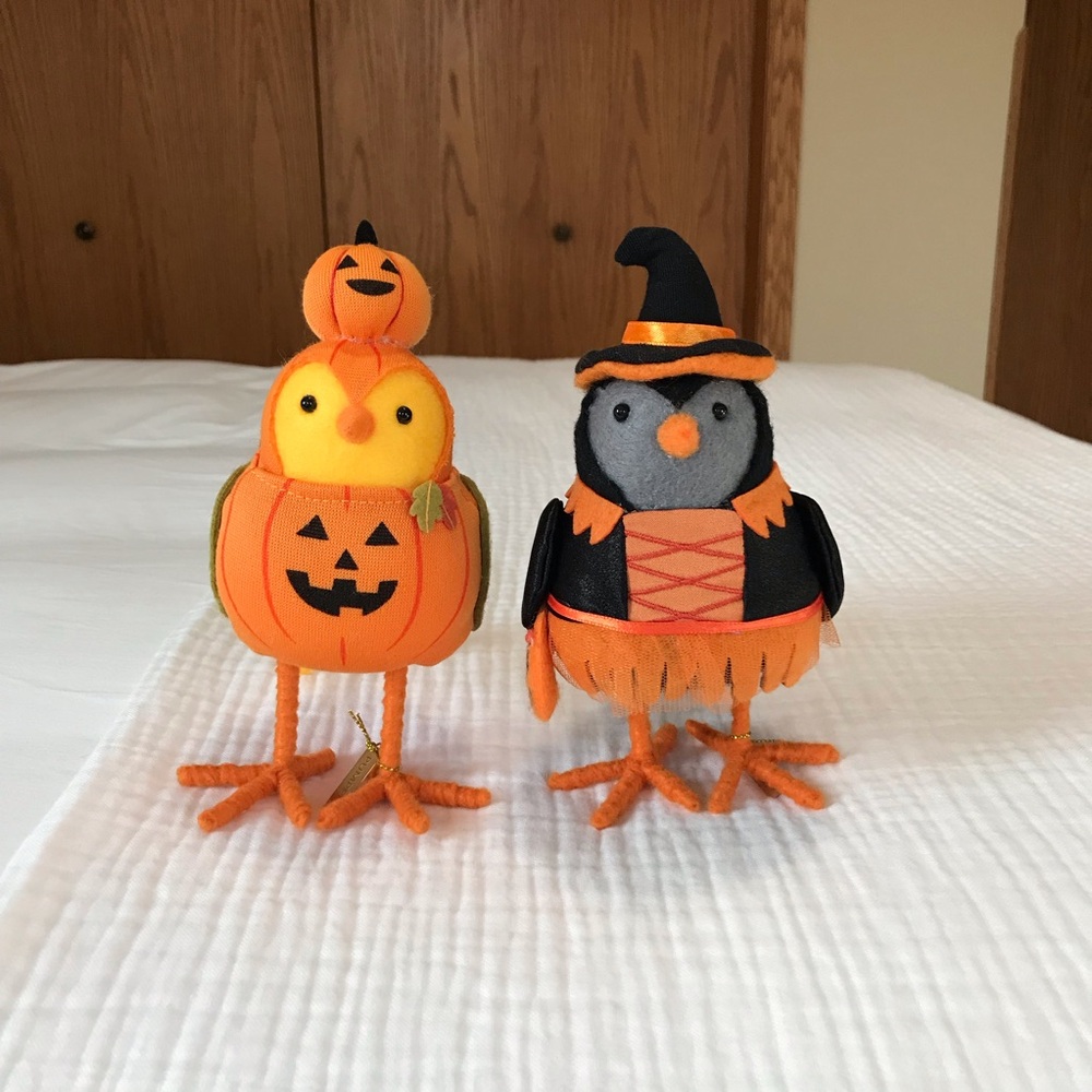 Target Hyde and Eek Halloween Featherly Friends Birds Kettle and Pumper 2021
